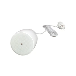 SHOW NSP-6/WH - громкоговоритель подвесной 6,5', 30Вт, 100/70В/ 6Ом, белый