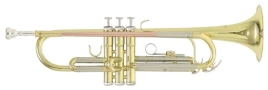 Труба TR-202 RoyBenson (RB701.070)