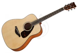 Акустическая гитара SOLISTA SG-D1 NT