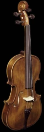 25W Скрипка студенческая 4/4 Strunal