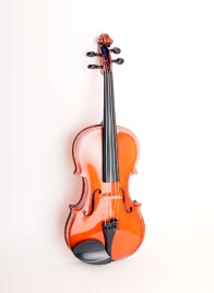 331W Скрипка концертная 4/4, Strunal