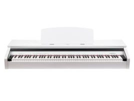 Цифровое пианино Medeli DP250RB GW