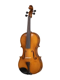 B-V165 Beginer Genial 2 Nitro Альт, Gliga