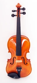 29wA-4/4 Скрипка студенческая Strunal
