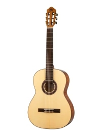 SM604 Классическая гитара 4/4, Hora