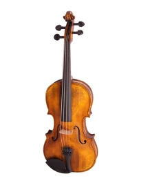 176-4/4 Скрипка концертная 4/4, Strunal