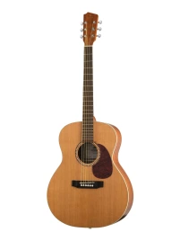 J10400 Jumbo Solo Акустическая гитара, Hora