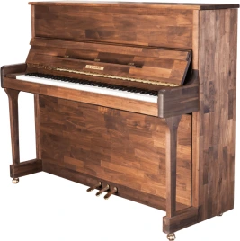 G-20 Пианино акустическое, черное, Aurora