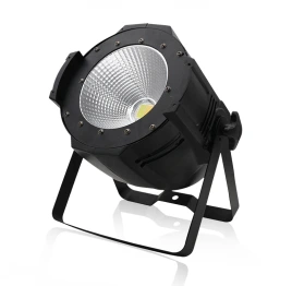 PL-69 Светодиодный прожектор, RGB, 100Вт, LFocus