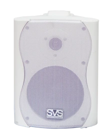 SVS Audiotechnik WS-30 White Громкоговоритель настенный