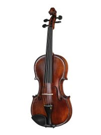 P-V044-F Professional Gama Special Скрипка 4/4, Gliga