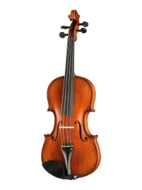 P-V044-OB Proffesional Gama OPB Birds Eye Скрипка 4/4, Gliga