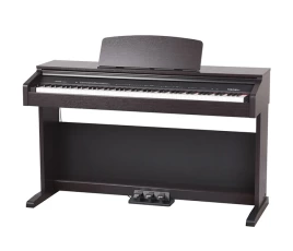 Цифровое пианино Medeli DP250RB BK