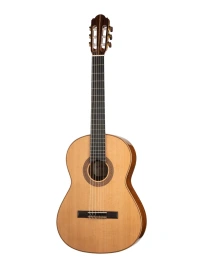 90-th Artist Series 90 Anniversary Профессиональная Классическая гитара, Kremona