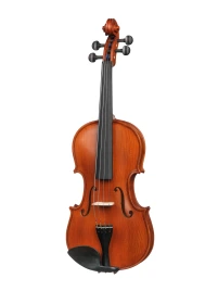 AW-V044-OB Workshop Gems 1 OPB Birds Eye Скрипка 4/4, Gliga