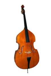 5/20D-4/4 Контрабас Strunal