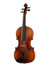 A100-15,5 Rhapsody Student Альт студенческий, Hora