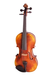 194-4/4 Pienza Скрипка концертная 4/4, Strunal