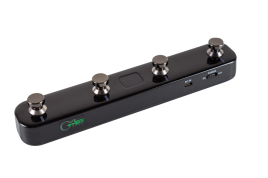 GWF4-BK Футсвитч, черный, GTRS