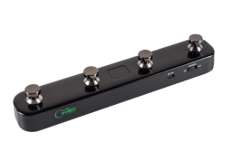 GWF4-BK Футсвитч, черный, GTRS