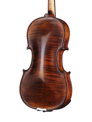 P-V044-F Professional Gama Special Скрипка 4/4, Gliga фото 5