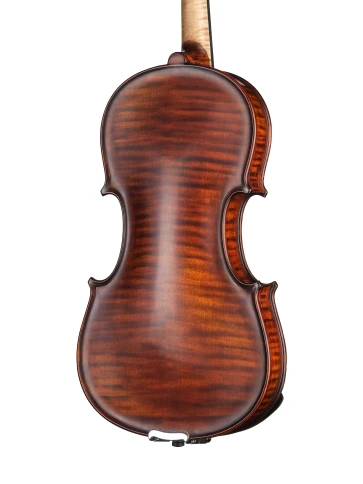 P-V044-S Professional Gama Special Antique Скрипка 4/4, Gliga фото 5