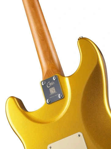 Электрогитара с процессором эффектов GTRS S801-Standard-801-GD фото 9