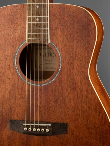 Акустическая гитара с чехлом Parkwood PF51M-WBAG-OP фото 7