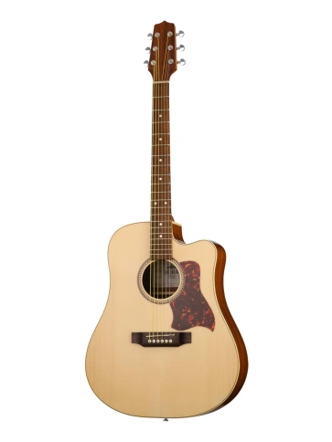 W11304ctw SM55 Акустическая гитара Hora фото 1