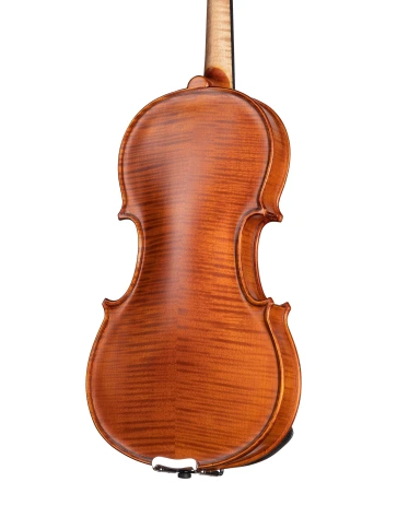 AW-V012 Workshop Gems 1 Скрипка 1/2, Gliga фото 5