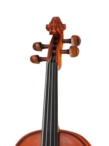 SG-V034 Student Genial I Gloria Скрипка 3/4, Gliga фото 3