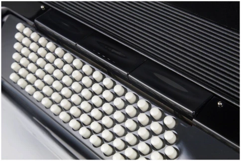 HOHNER Amica Forte III 72 black - Аккордеон 3/4 фото 3