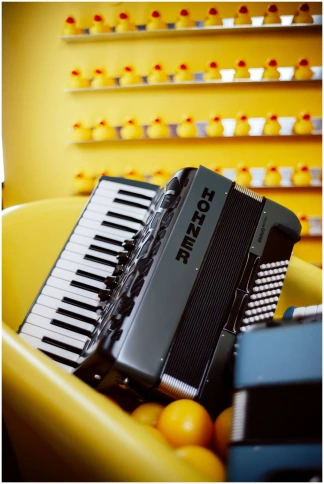 HOHNER Bravo my Color III 72 Twilight - Аккордеон 3/4 фото 3