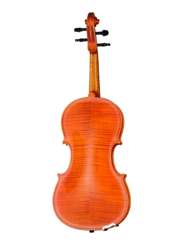 3/160 Альт 41см, Strunal фото 2