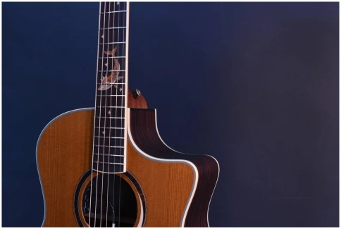 CRAFTER MIND W PRESTIGE ROSE Gce VVS - Гитара электроакустическая фото 4