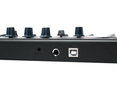 PANDAMINI-II MIDI-контроллер, 25 клавиш, LAudio фото 5