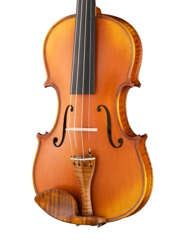 PG-V044-A Professional Gama Genova Скрипка 4/4, Gliga фото 3