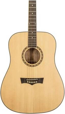 PEAVEY DW-1 w/Bag - Гитара акустическая фото 4