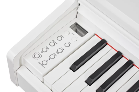 Becker BDP-92W, цифровое пианино, цвет белый, клавиатура 88 клавиш с молоточками фото 4