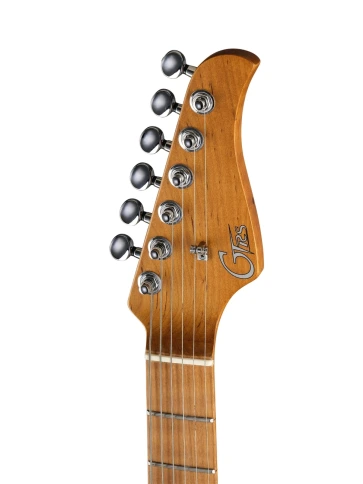 Электрогитара с процессором эффектов GTRS P801-Professional-801-GR фото 10