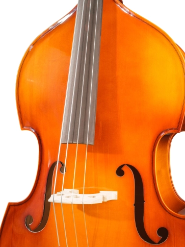 B110BAG-3/4 Rhapsody Student solid top Контрабас с чехлом Hora фото 3