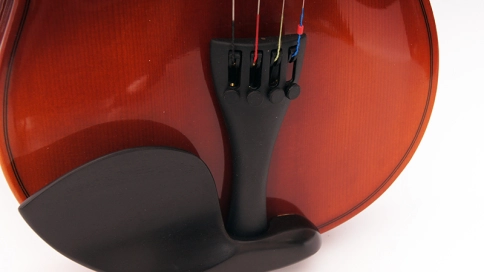 16w-4/4 Скрипка студенческая 4/4 Strunal фото 4