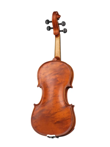 AW-V044-OB Workshop Gems 1 OPB Birds Eye Скрипка 4/4, Gliga фото 4