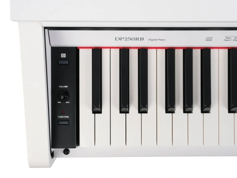 Цифровое пианино Medeli DP250RB GW фото 3