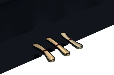 Цифровое пианино Medeli UP805 фото 10