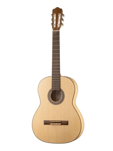 SS100 Eco Maple Классическая гитара Hora фото 1