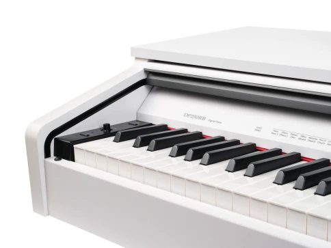 Цифровое пианино Medeli DP250RB GW фото 2