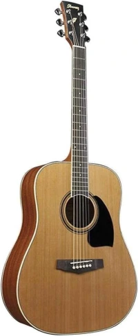 IBANEZ PF17-LG - Гитара акустическая фото 1
