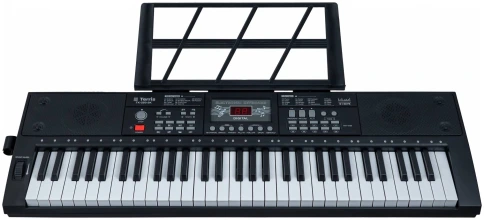 TERRIS TK-250 BK - Синтезатор фото 3