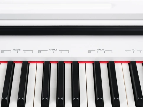 Цифровое пианино Medeli DP250RB GW фото 6